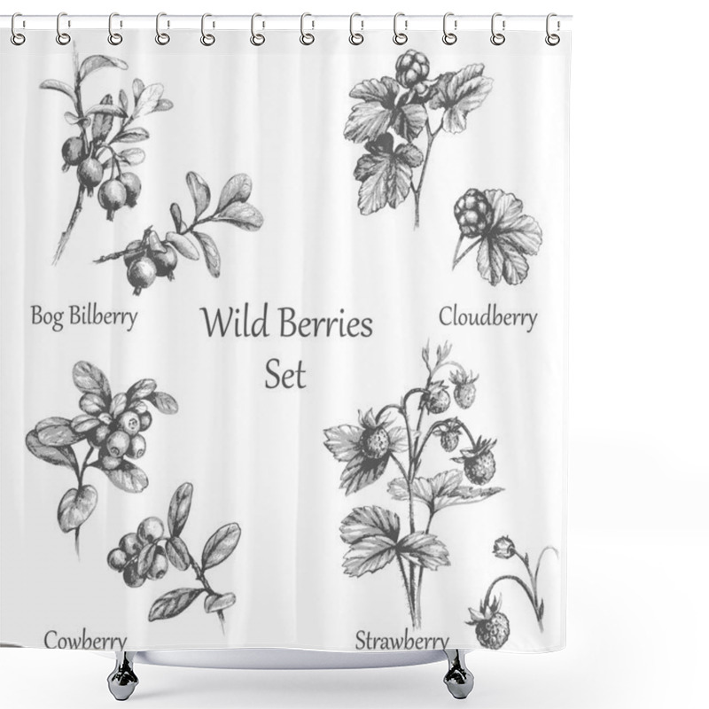 Personality  Hand Drawn  Wild Berries  Set Shower Curtains