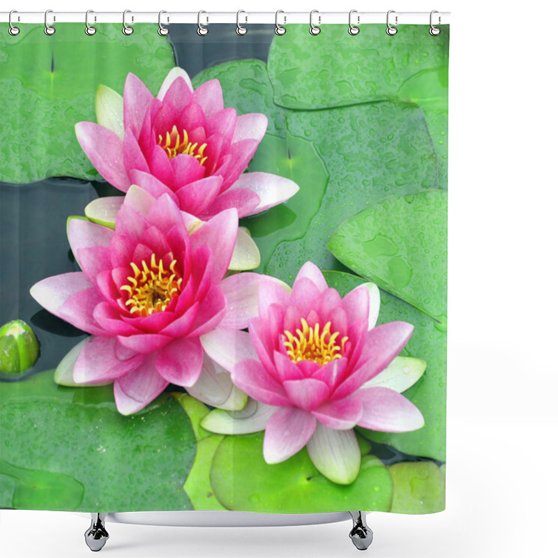 Personality  Pink Water Lilies Shower Curtains