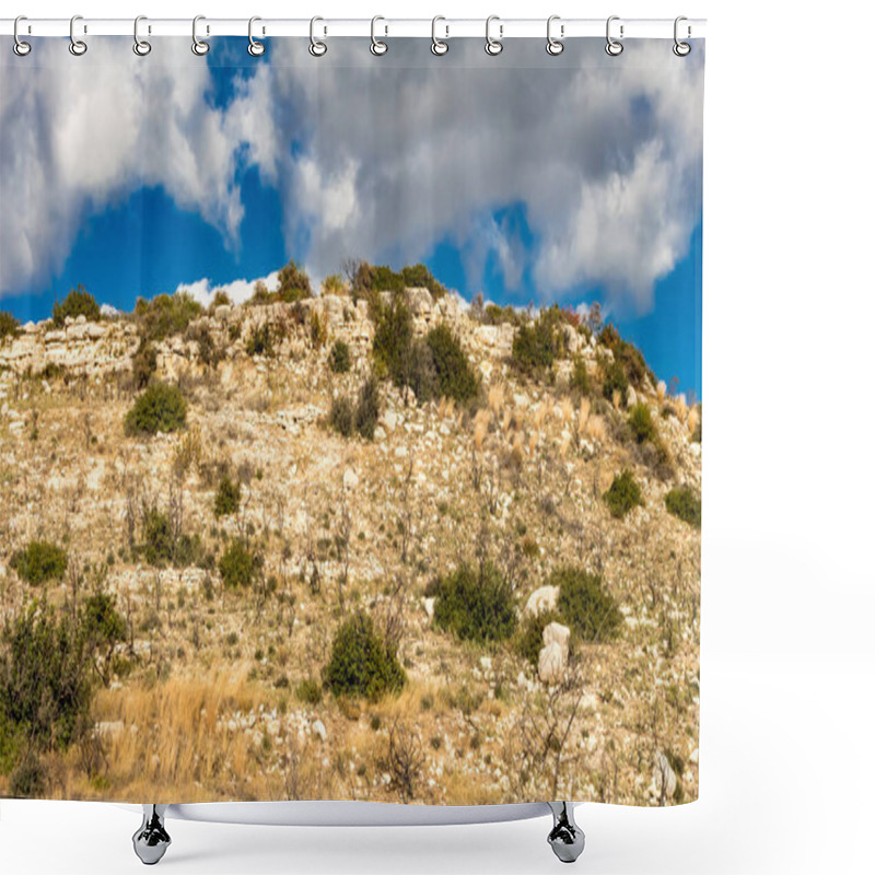 Personality  Powerful Image Of A Scorched Tree After A Forest Fire In The Cyprus Mountains, Highlighting The Devastating Impact Of Natural Disasters Shower Curtains