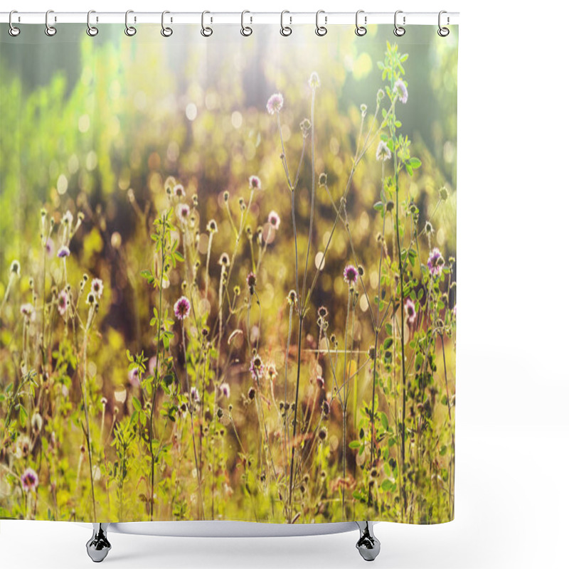 Personality  Sunny Day On The Flowers Meadow. Beautiful Natural Background. Shower Curtains