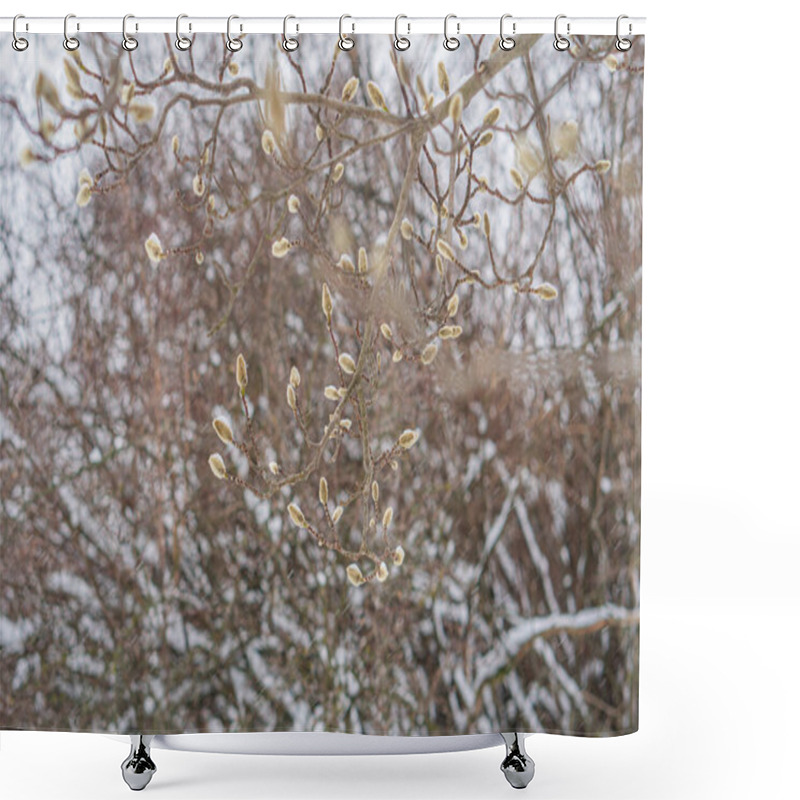 Personality  Close-up Image Of A Plant With Budding Flower Clusters, In Early Bloom Stages, Displayed Against A Snowy Backdrop, A Shower Curtains