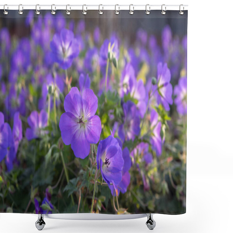 Personality  Cranesbills Group Of Flowers, Geranium Rozanne In Bloom, Big Bunch Of Flowers Shower Curtains