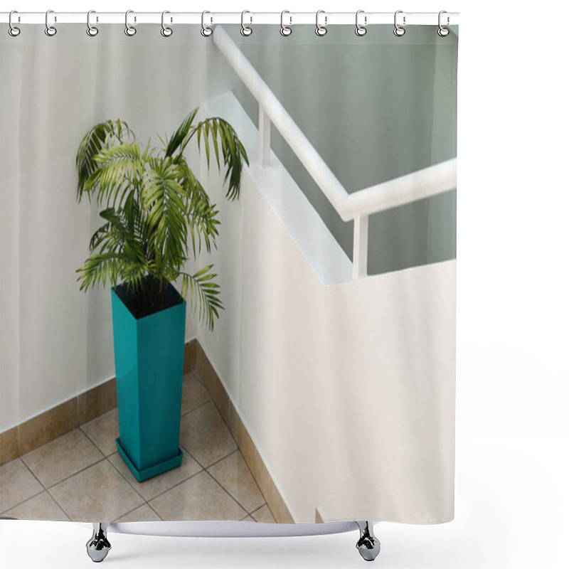 Personality  A Lush Green Plant In A Sleek Turquoise Pot Stands Elegantly At The Corner Of A Contemporary Staircase. Sunlight Softly Highlights Its Leaves Against The Minimalistic Backdrop. Shower Curtains