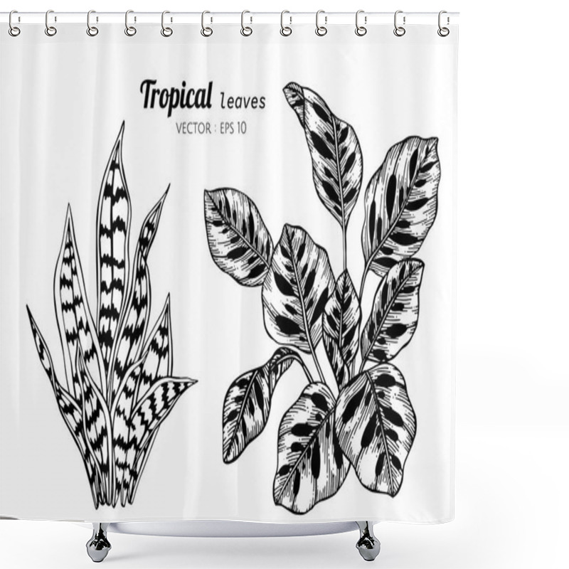 Personality  Collection Set Of Tropical Leaves Drawing Illustration. Shower Curtains