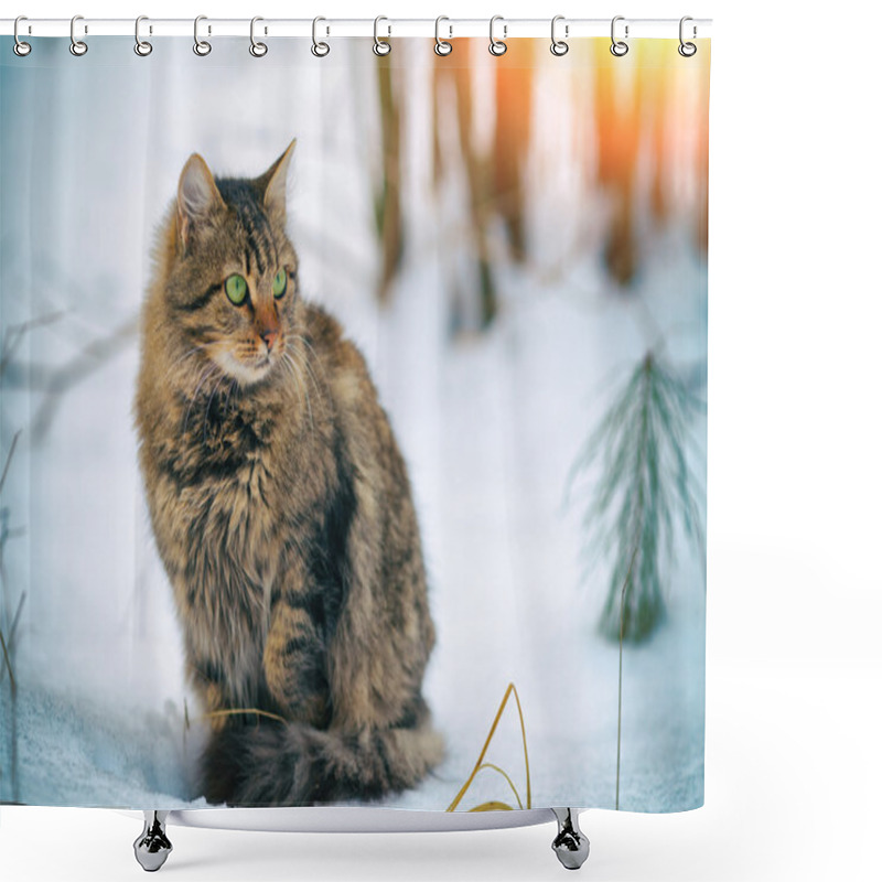 Personality  Siberian Cat In Forest Shower Curtains