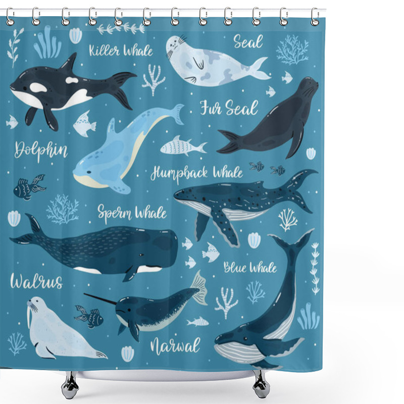 Personality  Marine Whales. Dolphin, Killer Whale, Narwhal, Sperm Whale And Walrus, Ocean Undersea World Animals. Underwater Mammals Vector Illustrations Shower Curtains