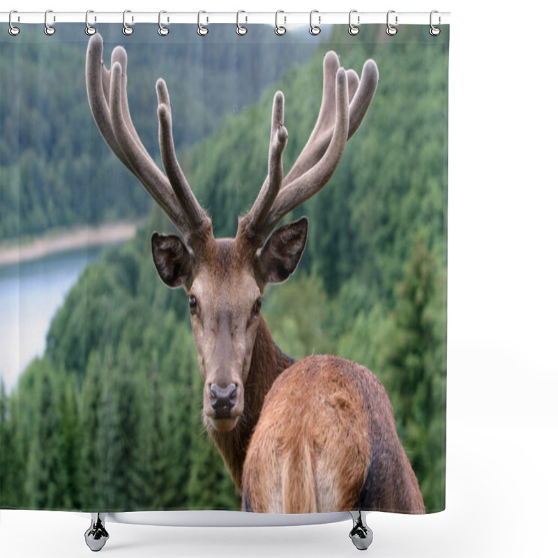 Personality  Please No Hunters,master Shower Curtains