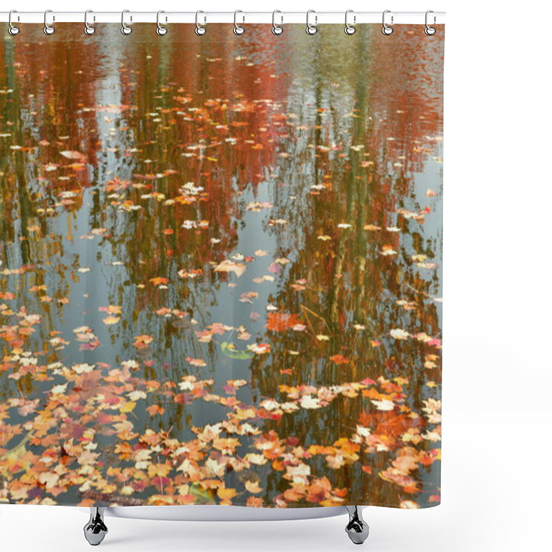 Personality  Photo Of  Water Surface Covered In Fallen Leaves In Autumn Shower Curtains