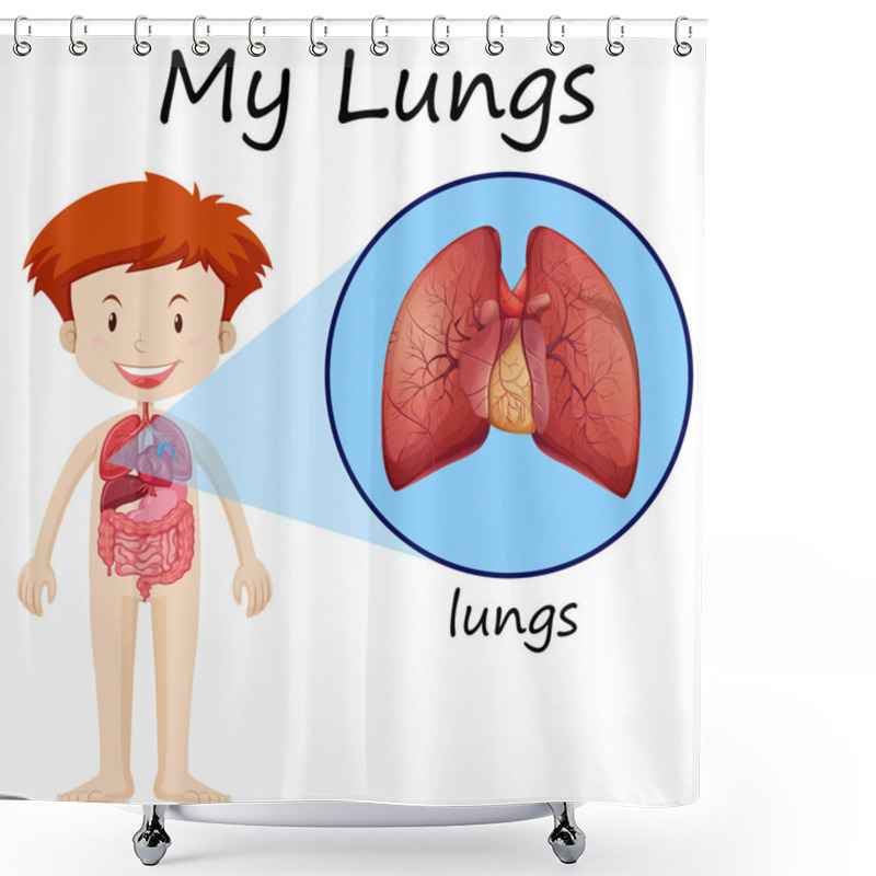 Personality  Little Boy And Lungs Diagram Shower Curtains