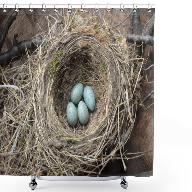 Personality  Natural Nest And Blue Eggs Of A Song Thrush In The Meadow Shower Curtains