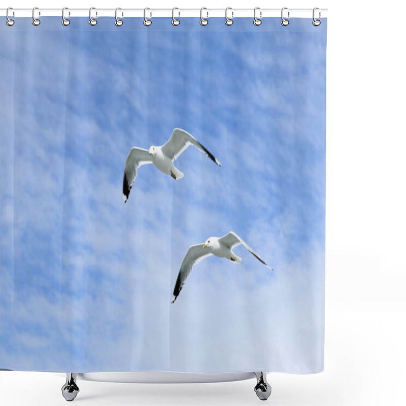 Personality  Two Mediterranean White Seagulls Flying Shower Curtains