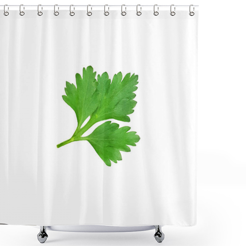 Personality  Parsley Leaf On White Background Shower Curtains