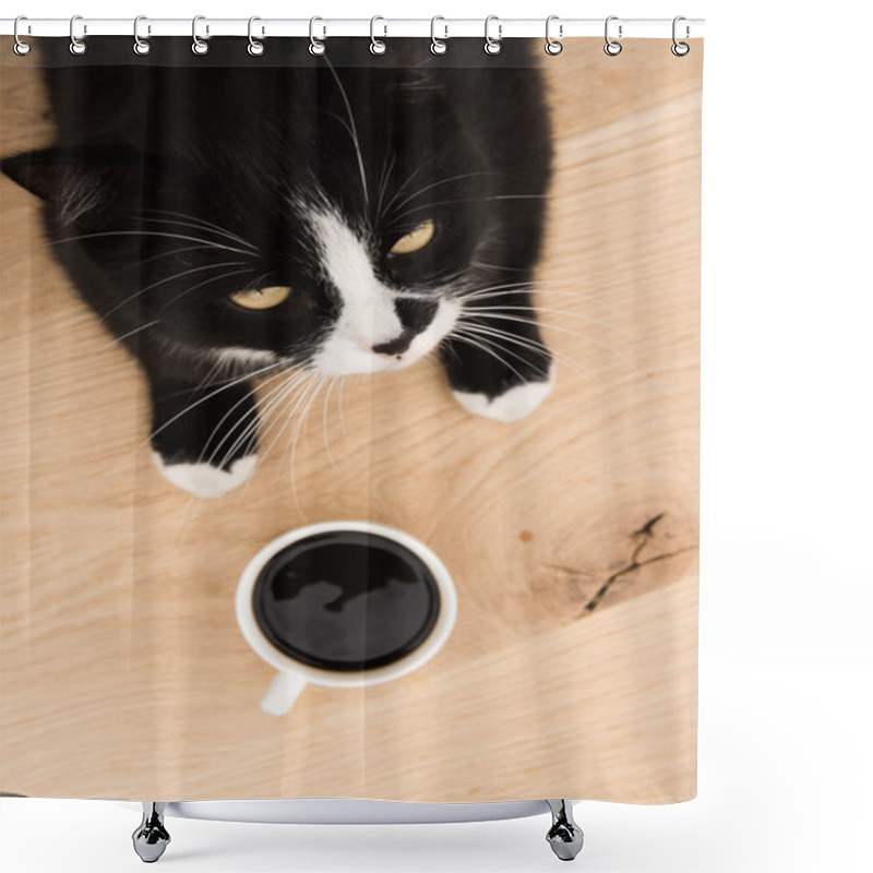 Personality  Black Cat In A Cardboard Box Shower Curtains