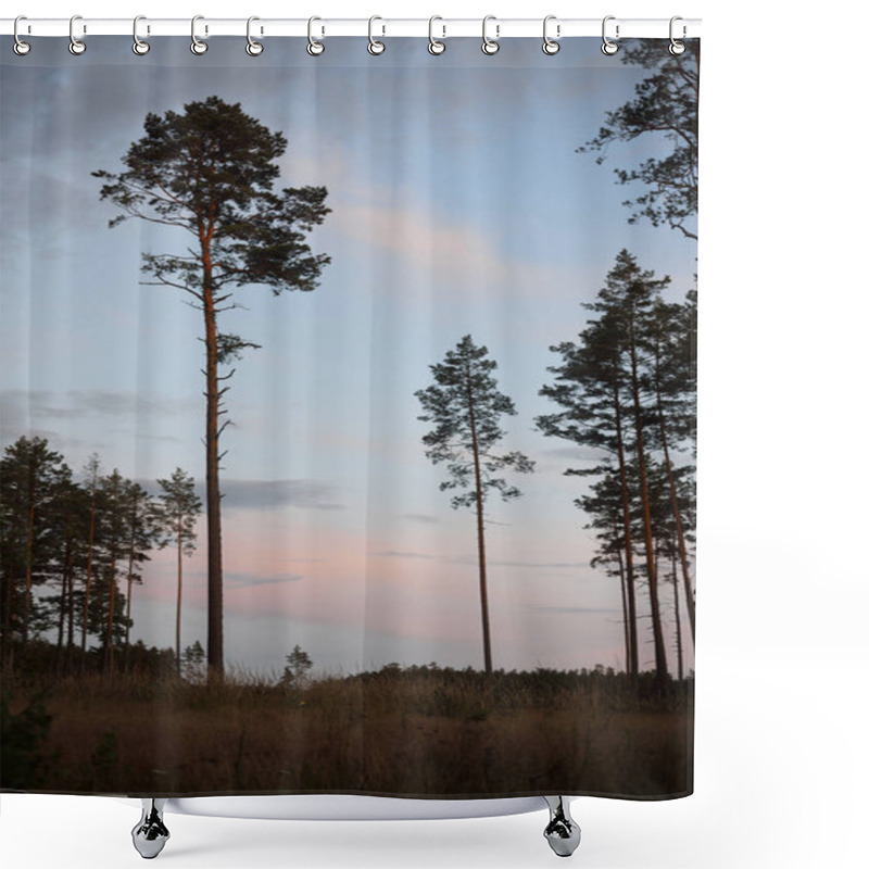 Personality  Pine Tree Forest At Sunset. Dark Silhouettes Close-up. Idyllic Rural Scene Shower Curtains