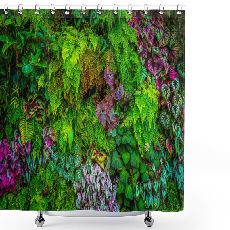 Personality  Singapore Cloud Forest Image Shower Curtains