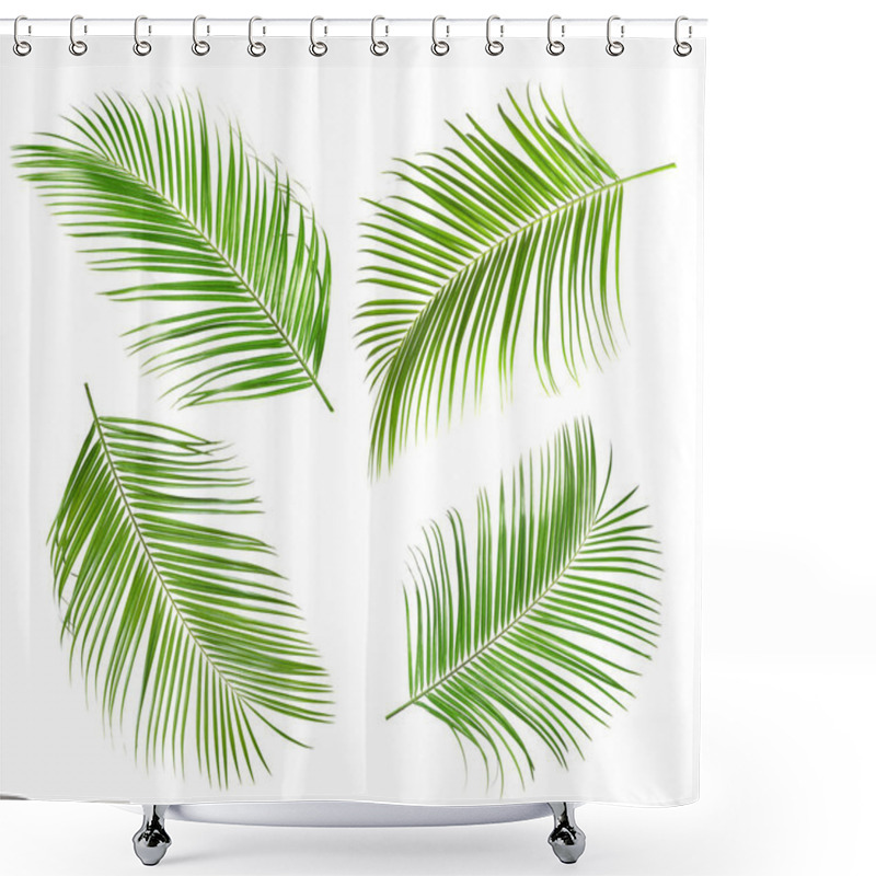 Personality  Set Of Tropical Leaves On White Background Shower Curtains