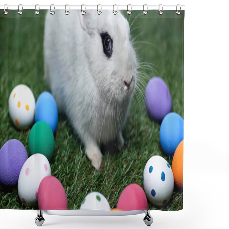 Personality  Cute Rabbit Near Painted Easter Eggs On Green Grass  Shower Curtains