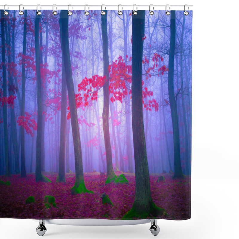 Personality  Mysterious Foggy Forest, Oak Trees, Foliage, Leafs,fog,tree Trunks, Gloomy Landscape. Eastern Europe.  Shower Curtains