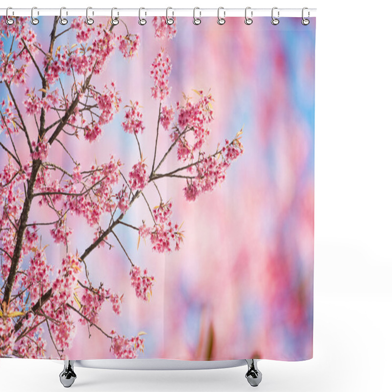 Personality  Sakura Flowers Or Cherry Blossoms Shower Curtains