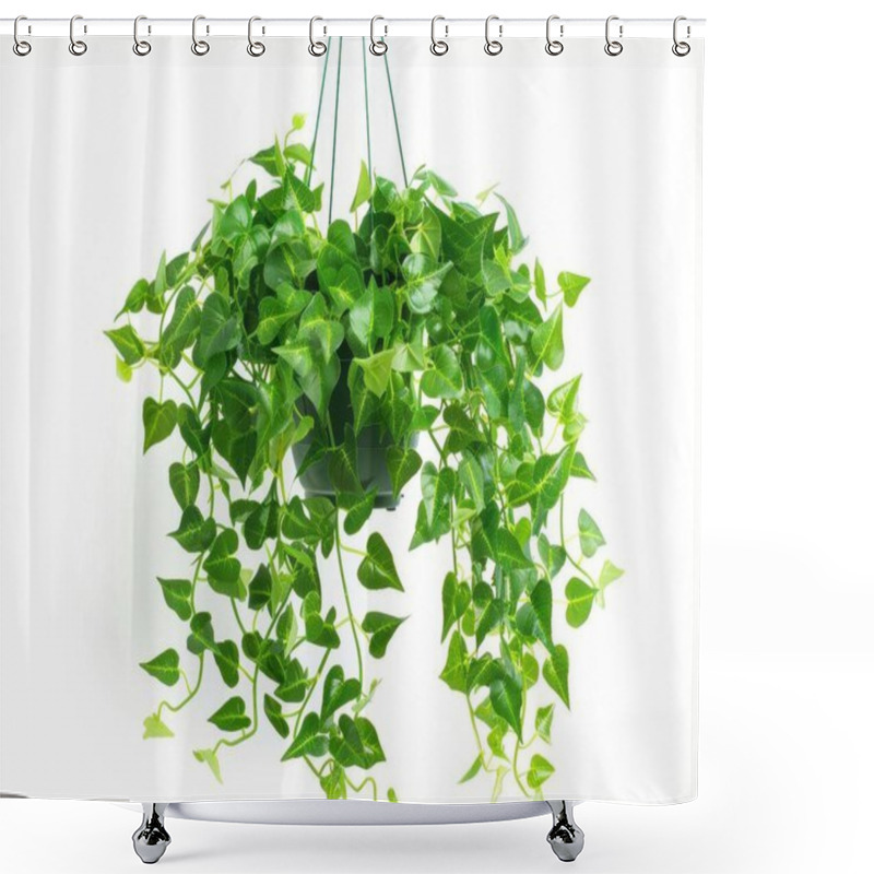 Personality  A Lush Green Hanging Plant With Heart-shaped Leaves Adds A Vibrant Touch To Any Space. Shower Curtains