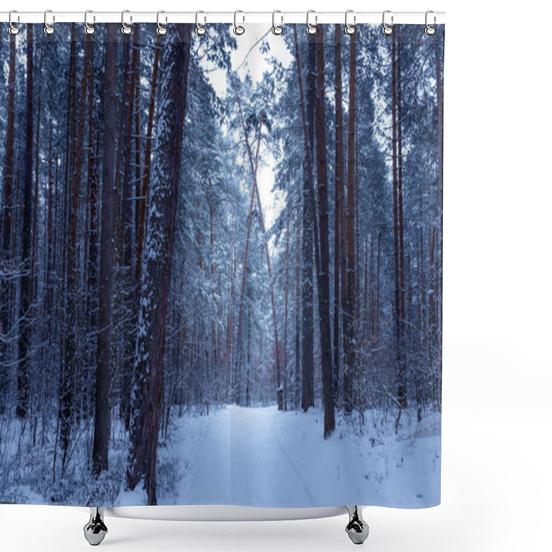 Personality  Winter Forest With Snow On Pine Trees And Floor. Shower Curtains