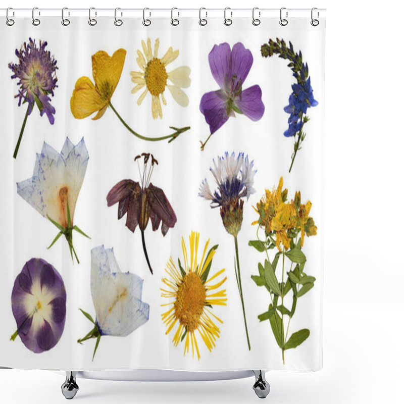 Personality  Dry Pressed Flowers Isolated On White Background. Floral Collection. Shower Curtains