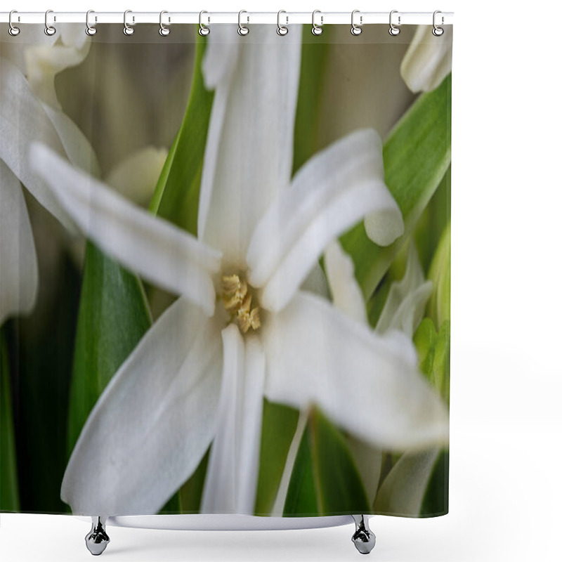 Personality  A Stunning Close-up Captures Delicate White Flowers Emerging Among Vibrant Green Leaves, Highlighting The Beauty Of Nature In Spring. Shower Curtains