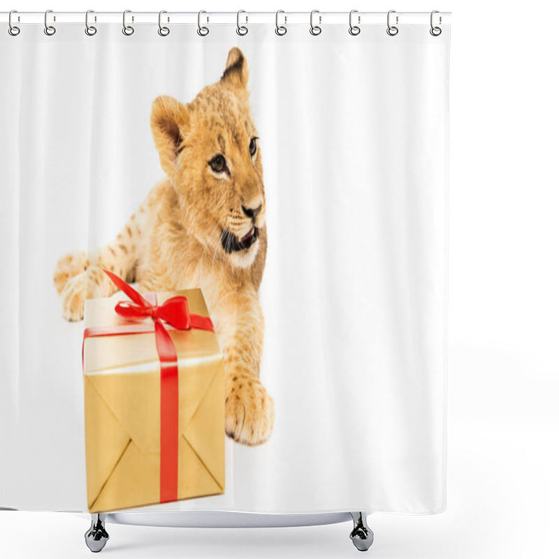 Personality  Cute Lion Cub Near Golden Gift With Red Ribbons Isolated On White Shower Curtains