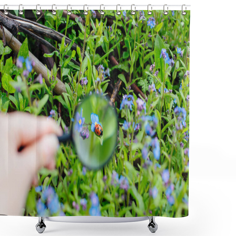 Personality  Ladybug Sitting On Flower Through A Magnifying Glass Shower Curtains