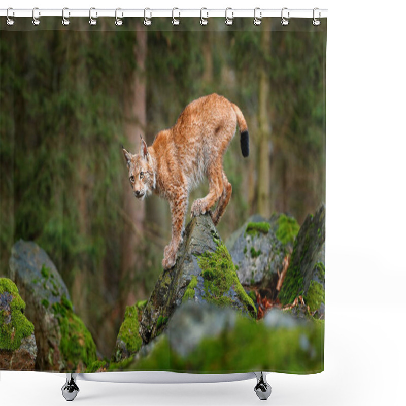 Personality  Cat Lynx In Forest Shower Curtains