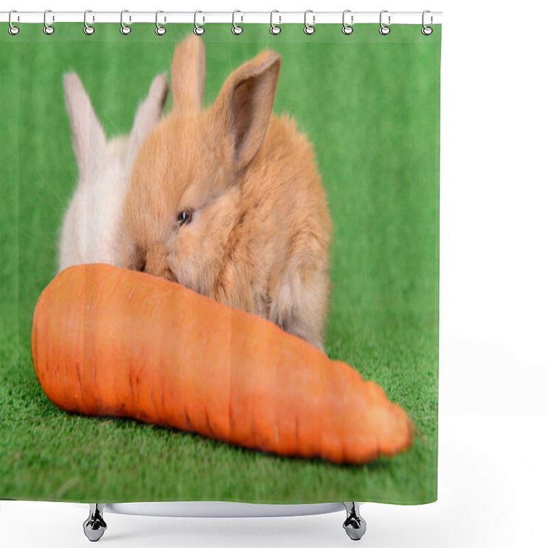 Personality  Rabbit With Carrot Shower Curtains