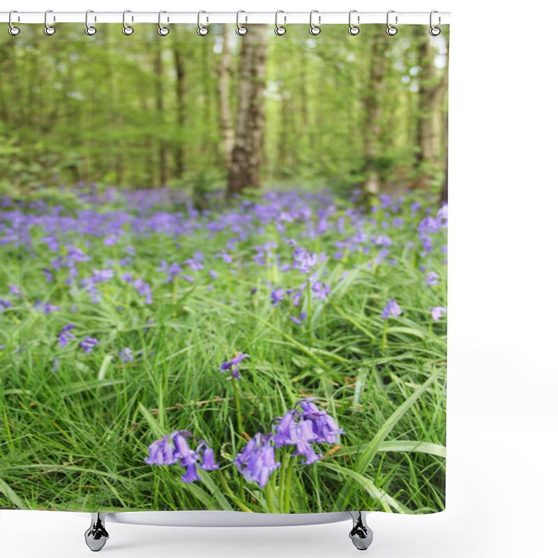 Personality  Bluebell Flowers In Spring Forest Shower Curtains