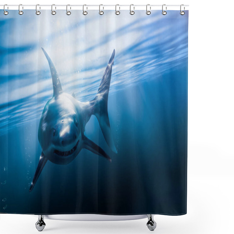 Personality  Great White Shark Swimming Underwater With Light Rays / 3d Rendering / Mixed Media Shower Curtains