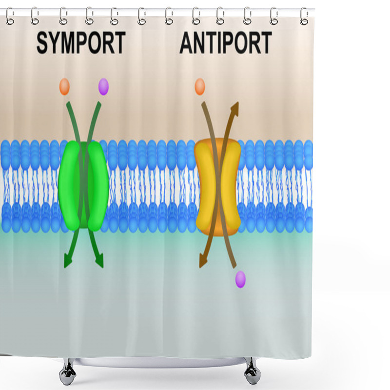 Personality  Cell Membrane Transport Systems Illustration Shower Curtains