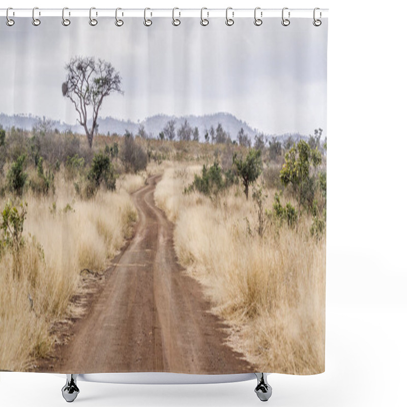 Personality  Gravel Road S114 In Afsaal Area In Kruger National Park, South Africa Shower Curtains