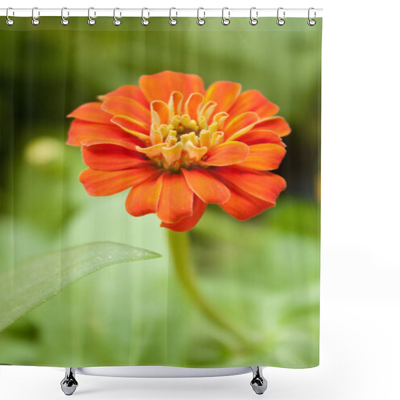 Personality  Red Flowers Make A Beautiful Flower Blooming In The Garden. Shower Curtains