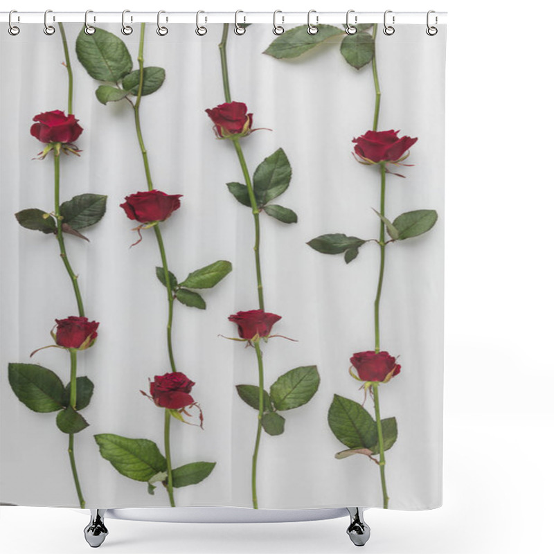 Personality  Full Frame Of Arranged Red Roses Isolated On White, St Valentines Day Holiday Concept Shower Curtains