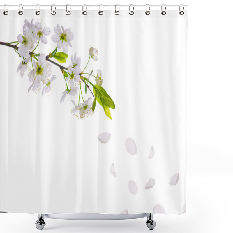 Personality  Spring Cherry Tree Flowers And Petals Shower Curtains