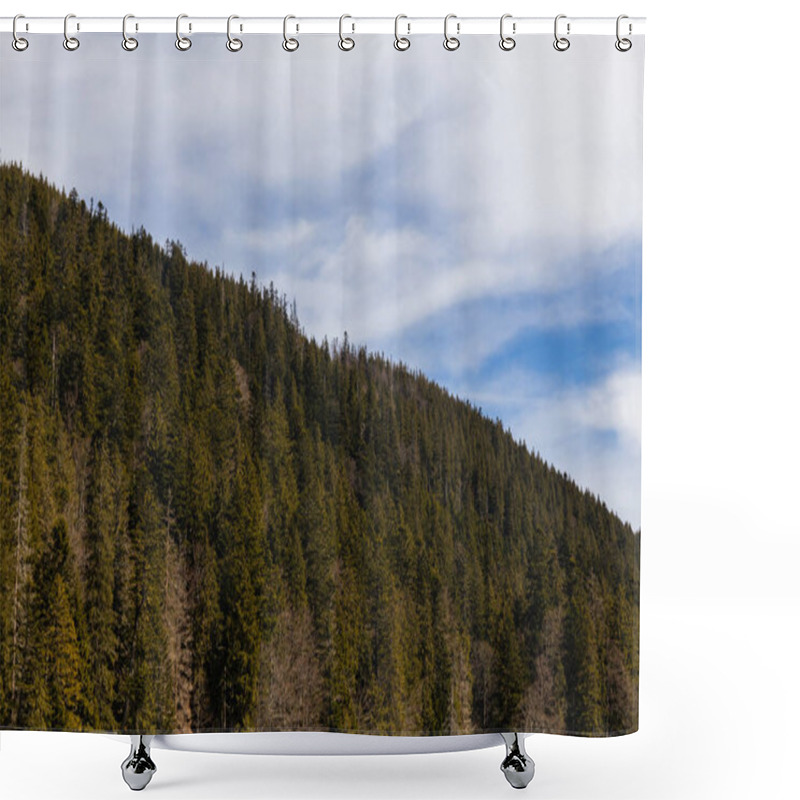 Personality  Spruce Forest On Hill Of Mountains With Sky At Background  Shower Curtains