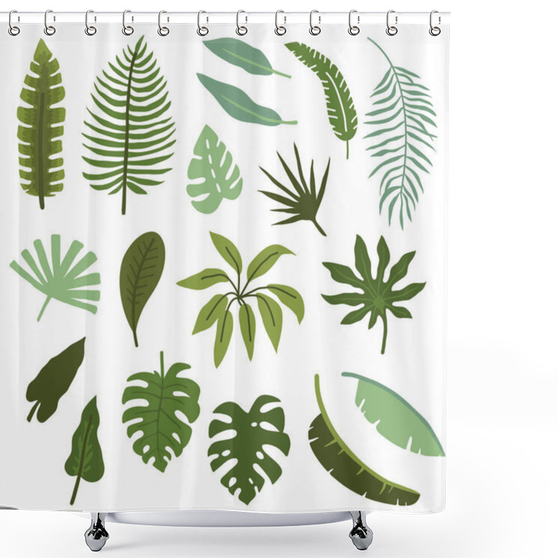 Personality  Vector Illustration Set Of Hand Drawn Plants And Palm Leaves For Design Shower Curtains