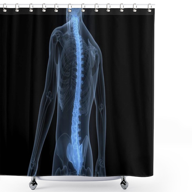 Personality  Vertebral Column Of Human Skeleton System Anatomy Shower Curtains