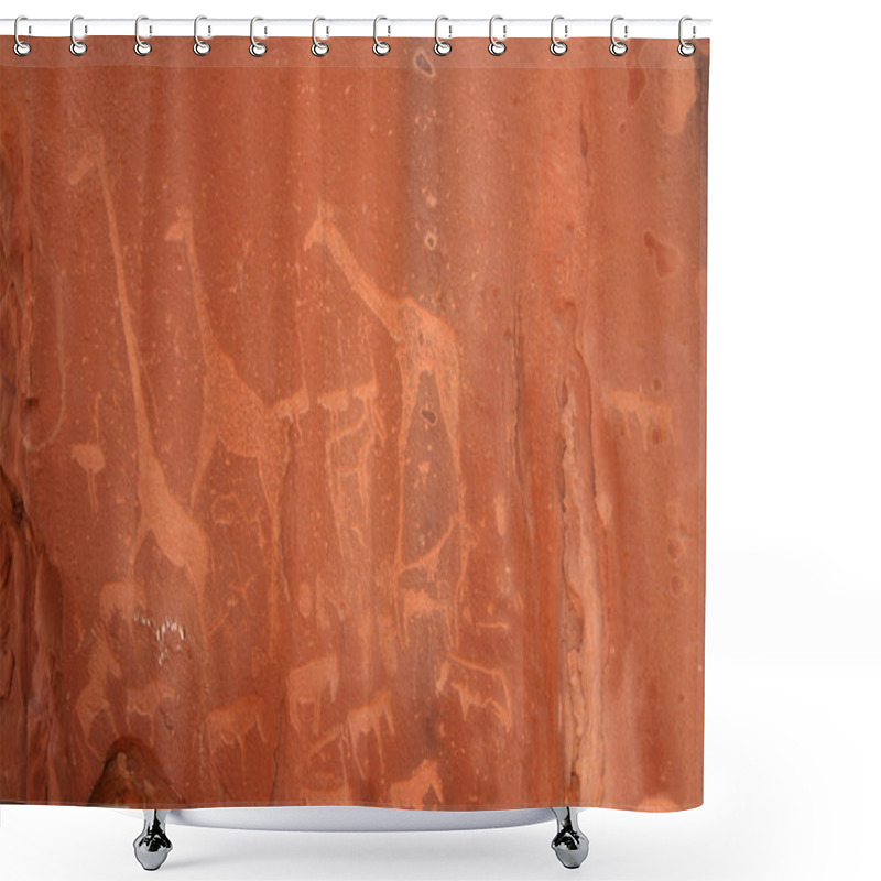 Personality  Bushmen Rock Engravings Shower Curtains