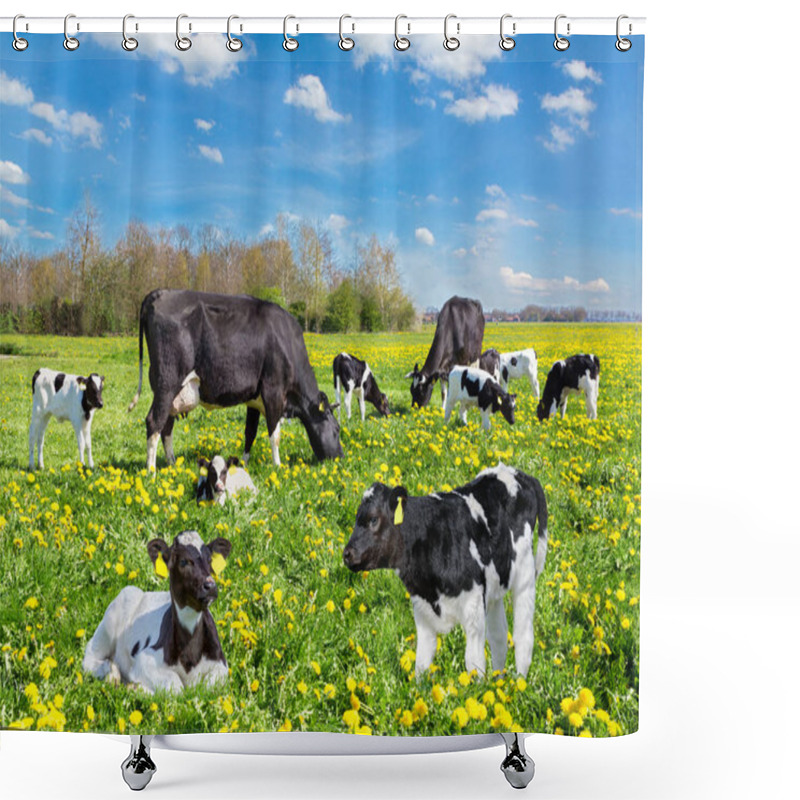 Personality  Cattle Of Cows And Calves In Dutch Flower Meadow Shower Curtains