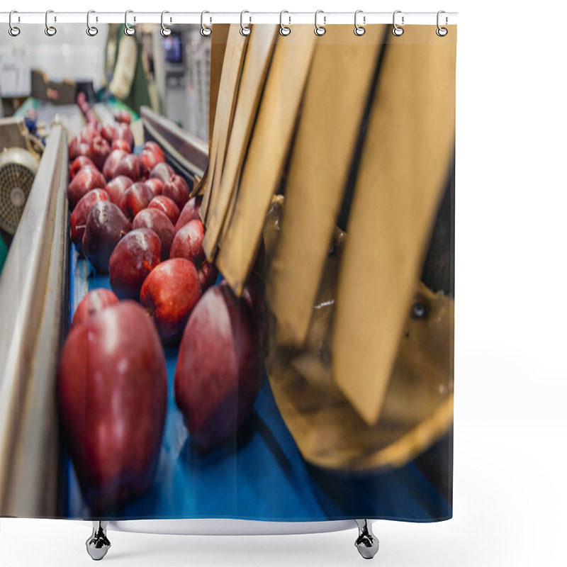 Personality  Red Apples On The Packaging Line Shower Curtains