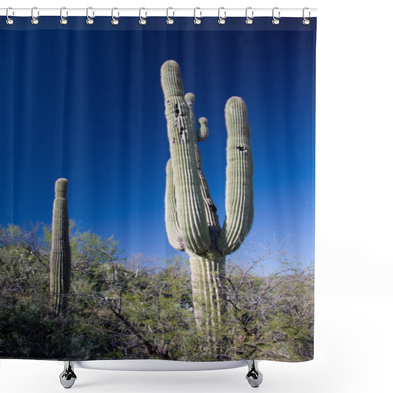 Personality  Cactus In Southern Arizona Shower Curtains