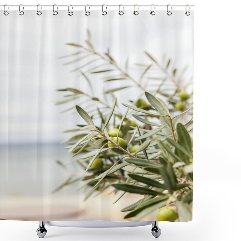 Personality  Olive Trees Grove Shower Curtains