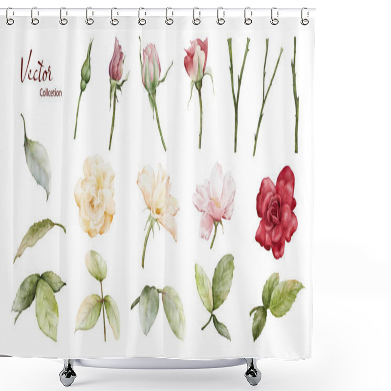 Personality  Watercolor Roses Illustration Set. Vector Roses Flower And Green Leaves Elements Collection On White Background. Suitable For Decoration, Bouquet, Wreath, Arrangement, Wedding, Or Invitation Card. Shower Curtains