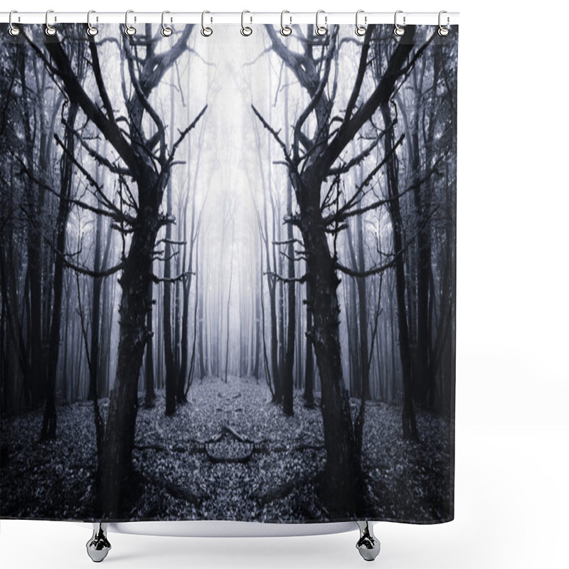 Personality  Scary Old Trees In Dark Forest Shower Curtains