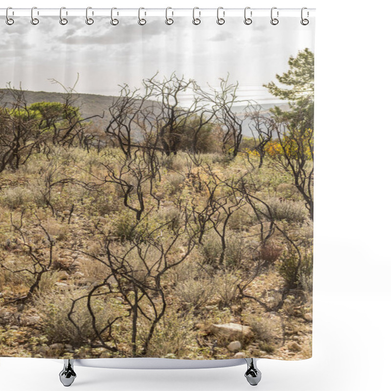 Personality  Powerful Image Of A Scorched Tree After A Forest Fire In The Cyprus Mountains, Highlighting The Devastating Impact Of Natural Disasters Shower Curtains