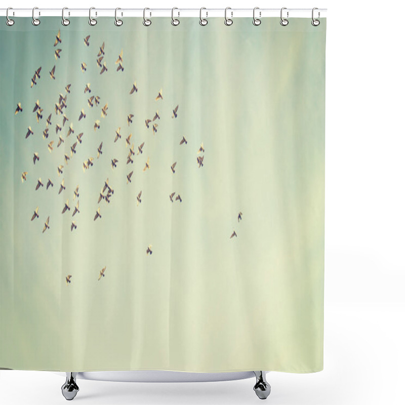 Personality  Flying Birds In Blue Sky  Shower Curtains